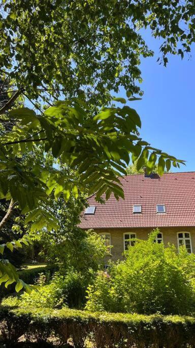 Idyllisches Appartement Nahe Ostsee Und Schlei Rabenkirchen-Faulueck Екстер'єр фото